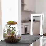 Comfort Family With Balcony And Sea View Апартаменты *